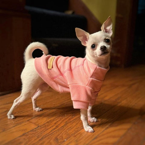 Pink Turtleneck Dog Sweater