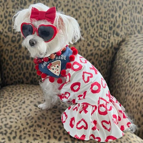 Morkie in a Valentine Themed XOXO Dog Dress - Fitwarm Dog Clothes