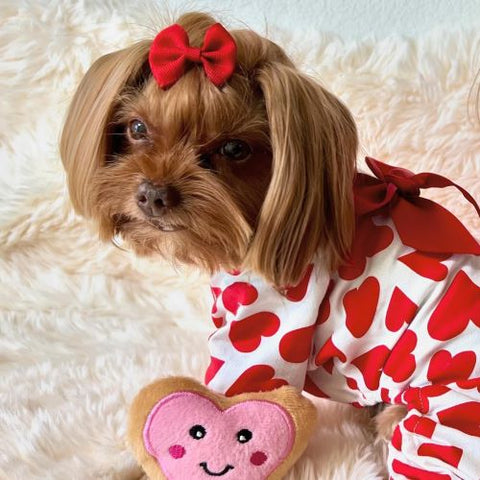 Yorkie in a Valentine Themed Heart Dog Pajamas - Fitwarm Dog Clothes