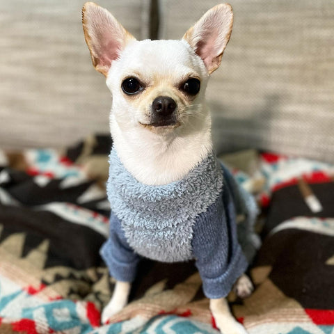 Turtleneck Fuzzy Dog Sweater