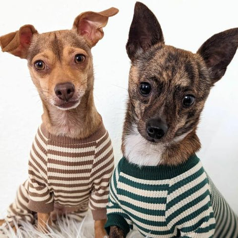 Dogs in Warm Wafflee Striped Dog Pajamas - Fitwarm Dog Clothes