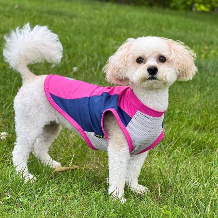 Summer Sun Protection Shirt For Dog - Fitwarm Dog Clothes