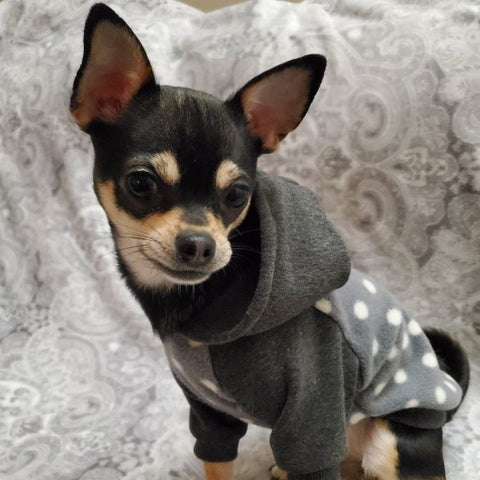 a Polka Dot Dog Hoodie