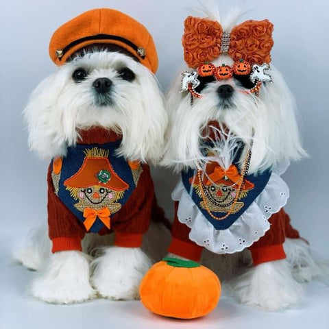Malteses in Cozy Orange Turtleneck Knitted Dog Pajamas - Fitwarm Dog Clothes