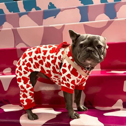 Frenchie in a Dog Onesie with Red Heart Prints - Fitwarm Dog Clothes