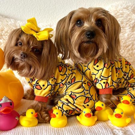 Cute Duck Dog Onesie for Yorkies - Fitwarm Dog Pajamas