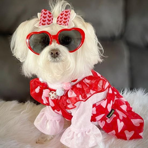 Morkie in a Ruffle Sleeves Dog Summer Dress with Heart Prints - Fitwarm Dog Clothes