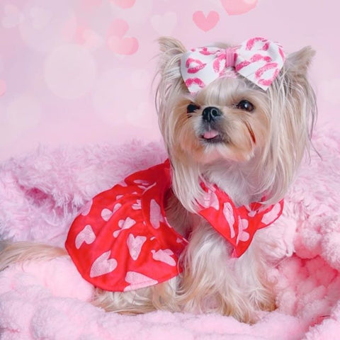 Yorkie in a Dog Dress with Pink Heart Prints - Fitwarm Dog Clothes