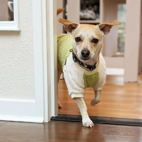 Fleece Dog Sweater