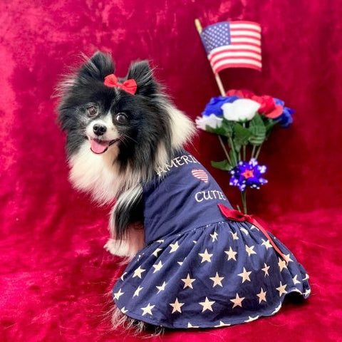 Pomeranian in a Blue Star American Cutie Dog Dress - Fitwarm Dog Clothes