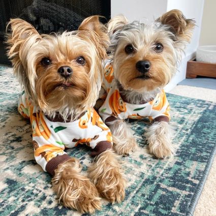 Yorkies in Dog Pajamas with Funny Sloth Prints - Fitwarm Dog Clothes