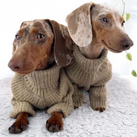 Turtleneck Knitted Dog Sweaters