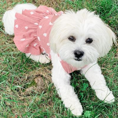 Pink Polka Dot Summer Dress for Cute Dog - Fitwarm Dog Clothes