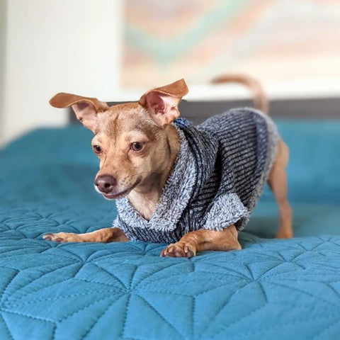 Knitted Dog Sweater Coat