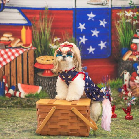 Shihtzu in a Patriotic Dog Dress - Fitwarm Dog Dress