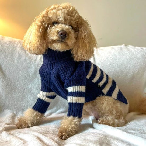 Turtleneck Sailor Striped Sweater