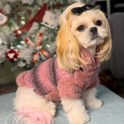 Shihtzu in a Pink Dog Winter Hoodie - Fitwarm Dog Clothes