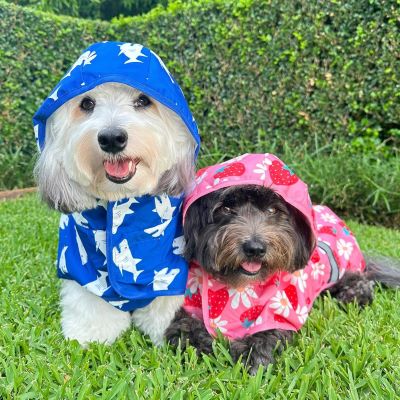 Cute Strawberry Dog Raincoats