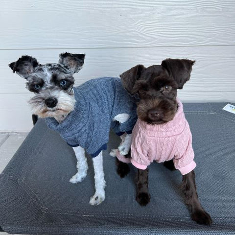 Turtleneck Knitted Dog Sweaters