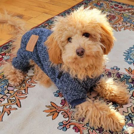 Thermal Knitted Dog Pajamas