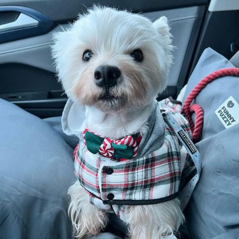 Plaid Winter Dog Coat