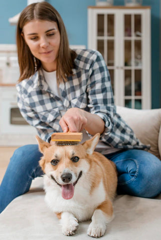 mujer cepillando de manera relajada a su perro en su casa