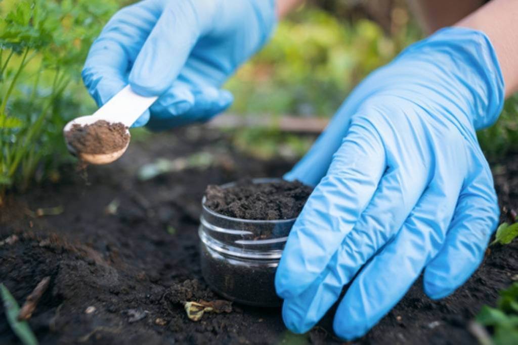 The History of Soil Science | Rogitex