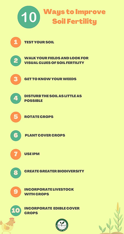 10 ways to improve soil fertility