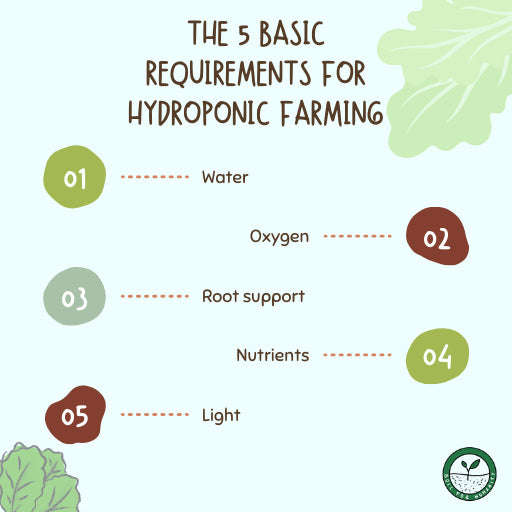 5 basic requirements hydroponic farming