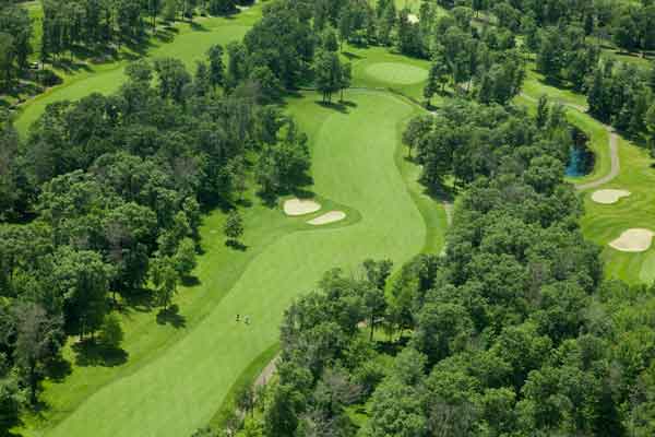 green-golf-course