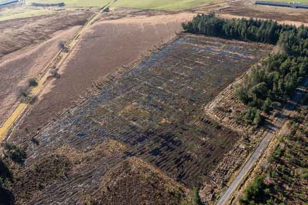 sustainable peat bog harvesting