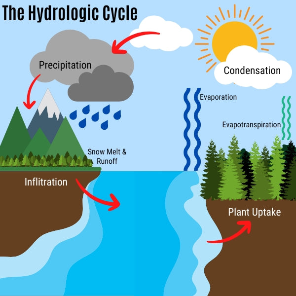 The hydrologic cycle (also known as the water cycle)