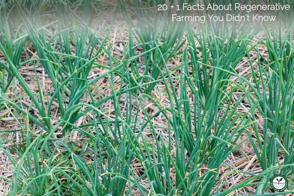 add biology to soil