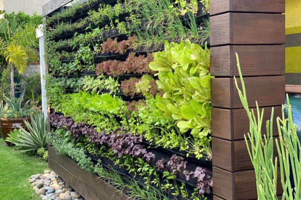 Vertical garden using the GardenSoxx growing system