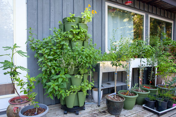 Herbs growing in a vertical tower and other container gardening ideas