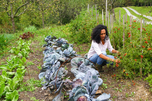 Backyard farmer in a permaculture garden