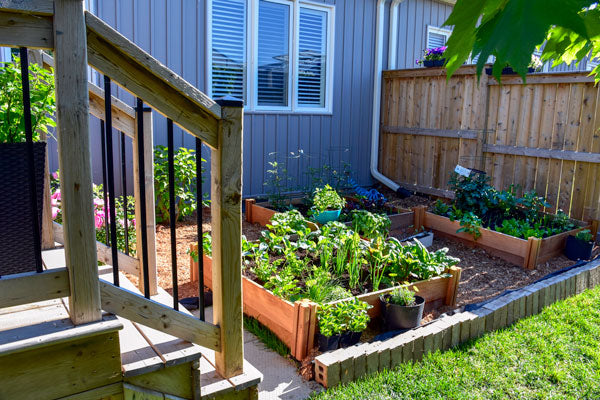 Backyard Farming Ideas for Aspiring Urban Growers | Rogitex