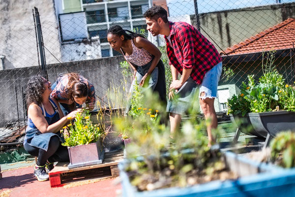 rooftop urban farming bringing the community together