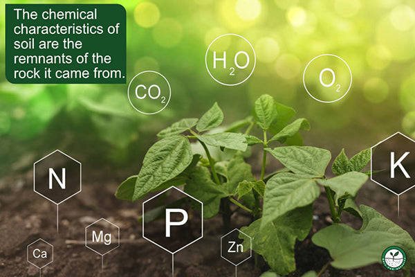 chemical characteristics of healthy soil