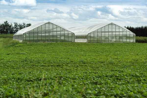 green house