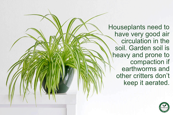 houseplant air circulation