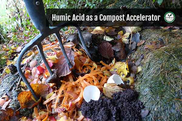 L'acide humique comme accélérateur de compost