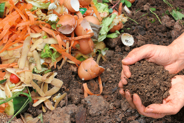 organic compost pile decaying into soil