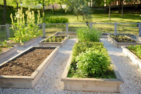 raised garden beds with wide ledge for sitting