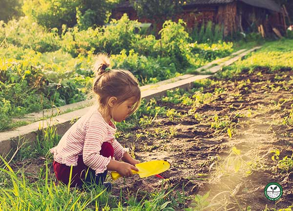 soil microbes key to your health