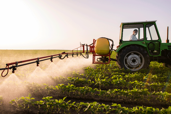 spraying chemical fertilizer on the farm with a tractor