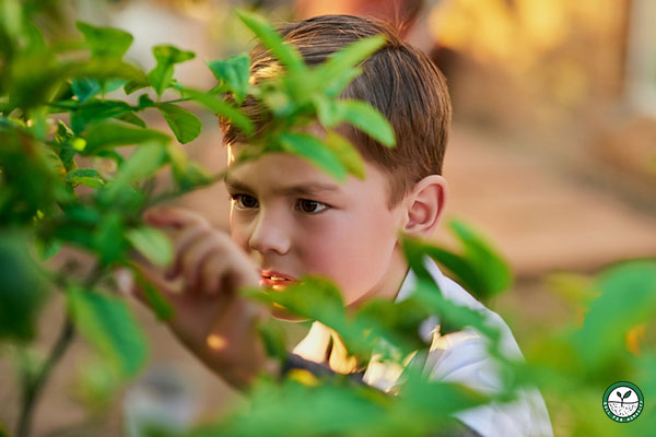 toxic plants and children