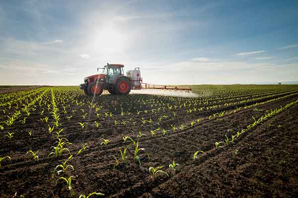 conventional farming pesticide