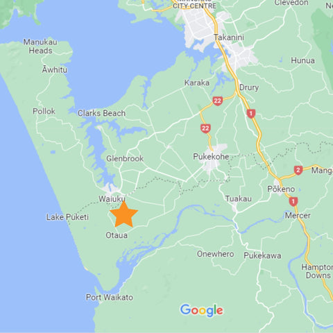 Map of Waiuku and it surrounds, with an orange star marking the approximate position of Joy Riders HQ