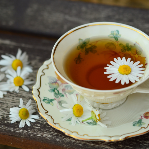 chamomile tea with chamomile flower